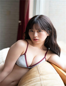 金装四大才子 电视剧